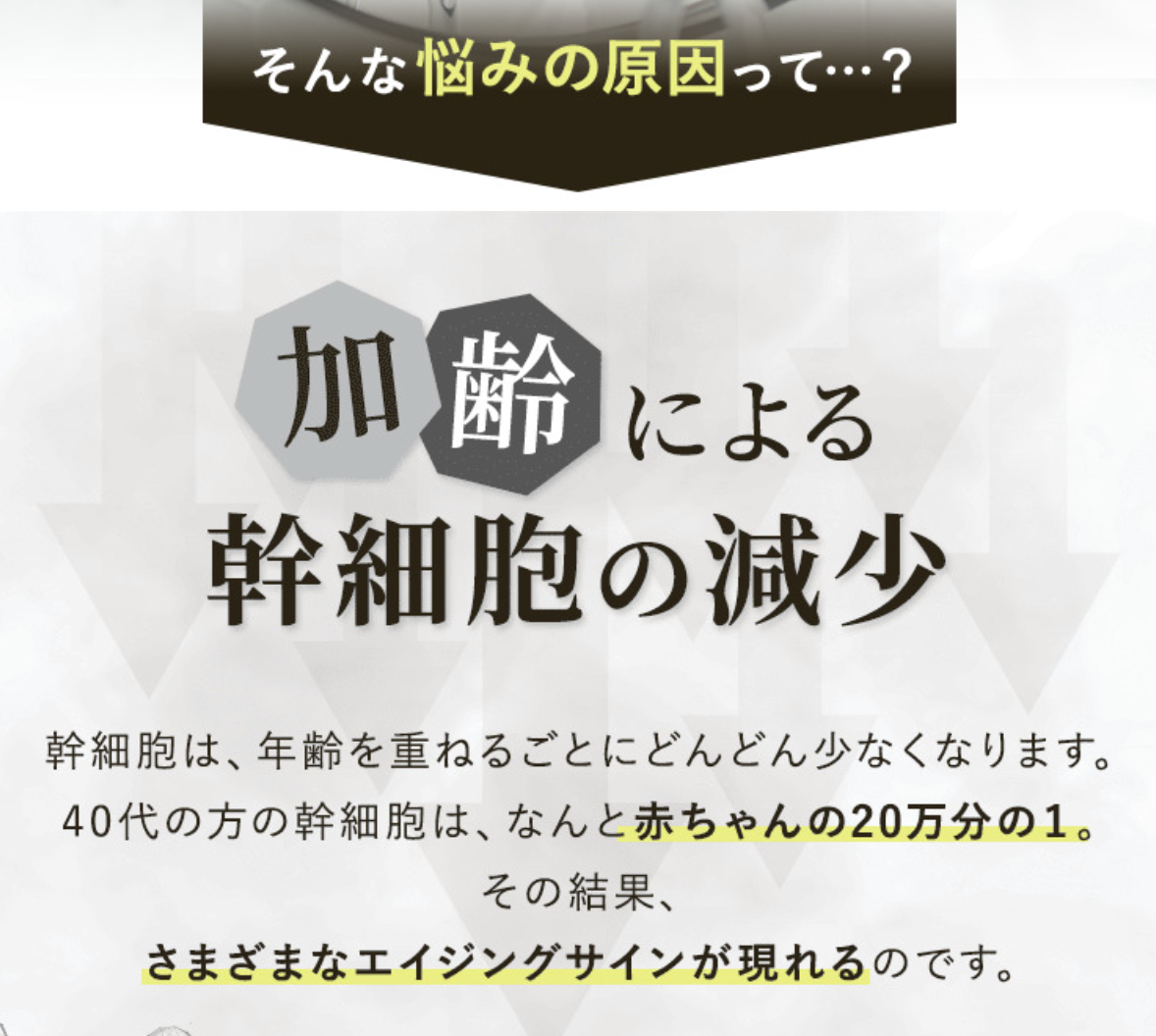 VONNEL ザ スイート フェイシャルマスク EXソーム