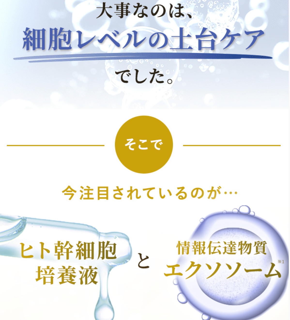 VONNEL ザ スイート フェイシャルマスク EXソーム